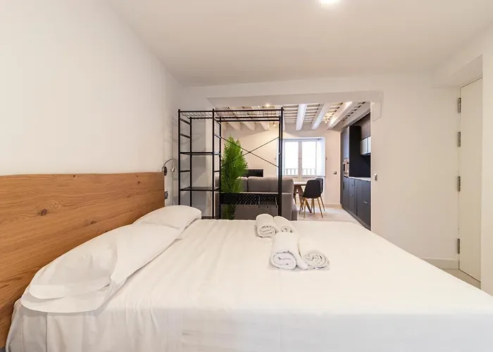 Allo San Roque 1ºb * Cadiz